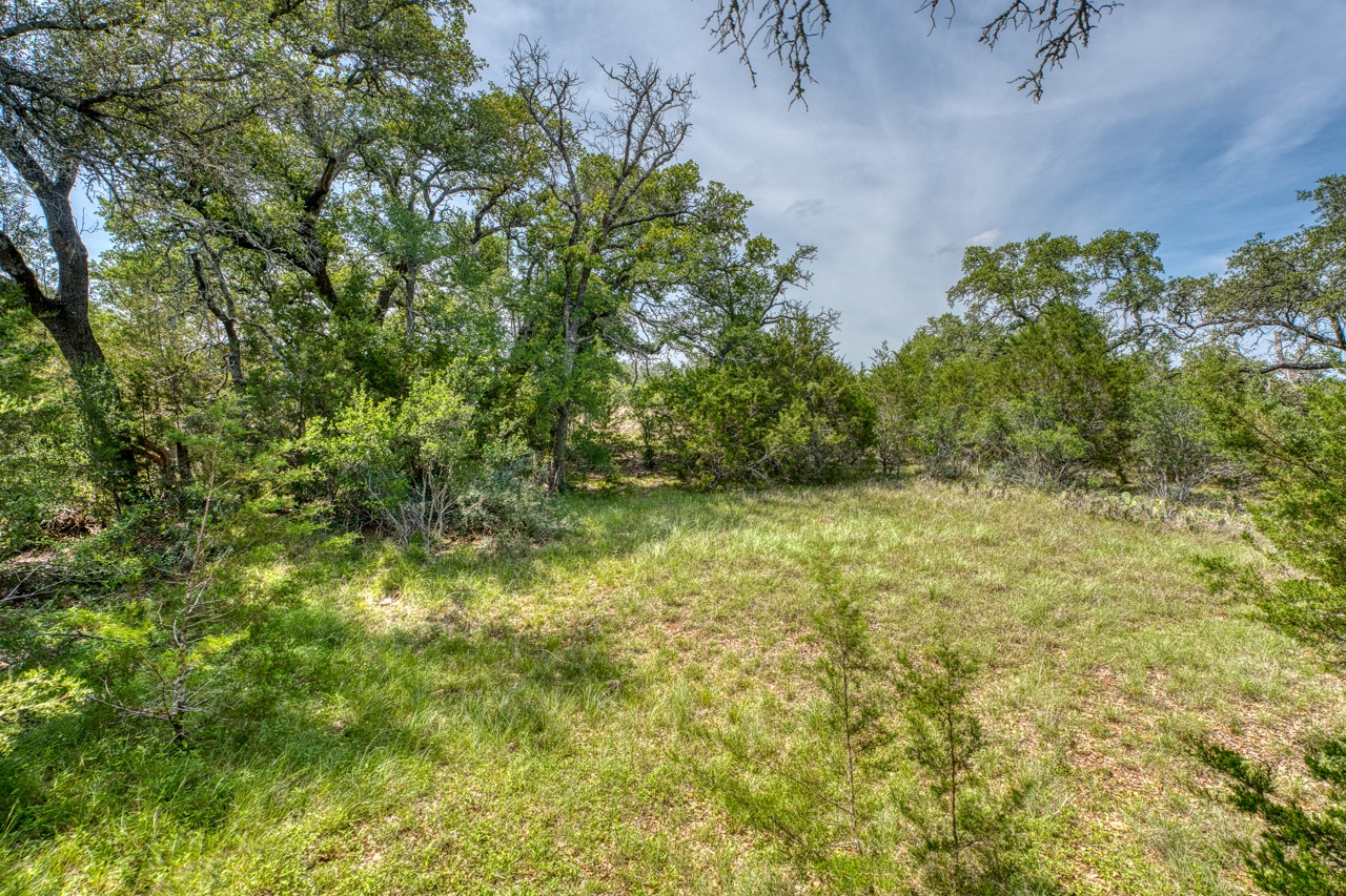 Tbd Althaus Ranch Road Johnson City, TX 78636 - Photo 31 of 36 a view of a yard with a tree