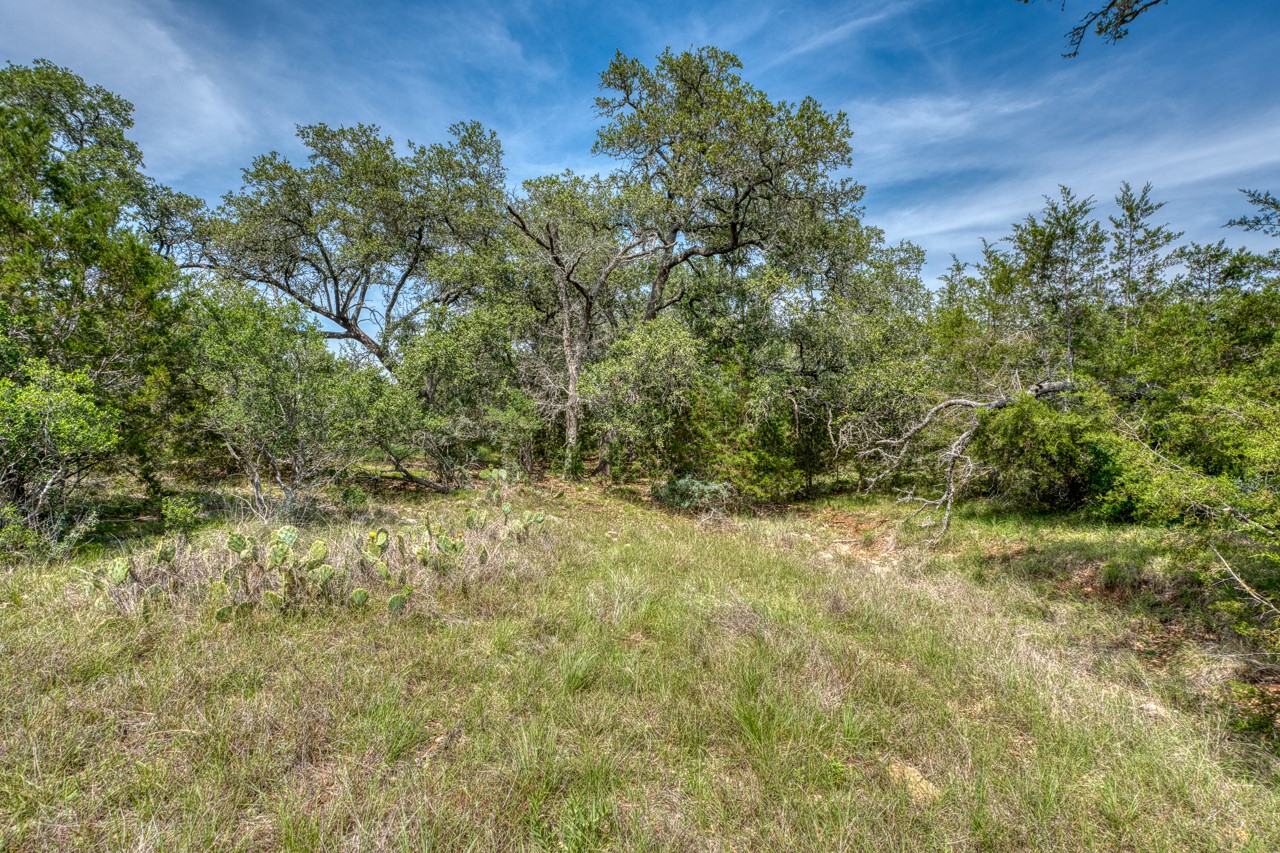 Tbd Althaus Ranch Road Johnson City, TX 78636 - Photo 32 of 36 a view of a yard with a tree