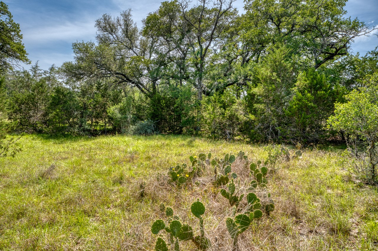Tbd Althaus Ranch Road Johnson City, TX 78636 - Photo 34 of 36 a view of yard with green space