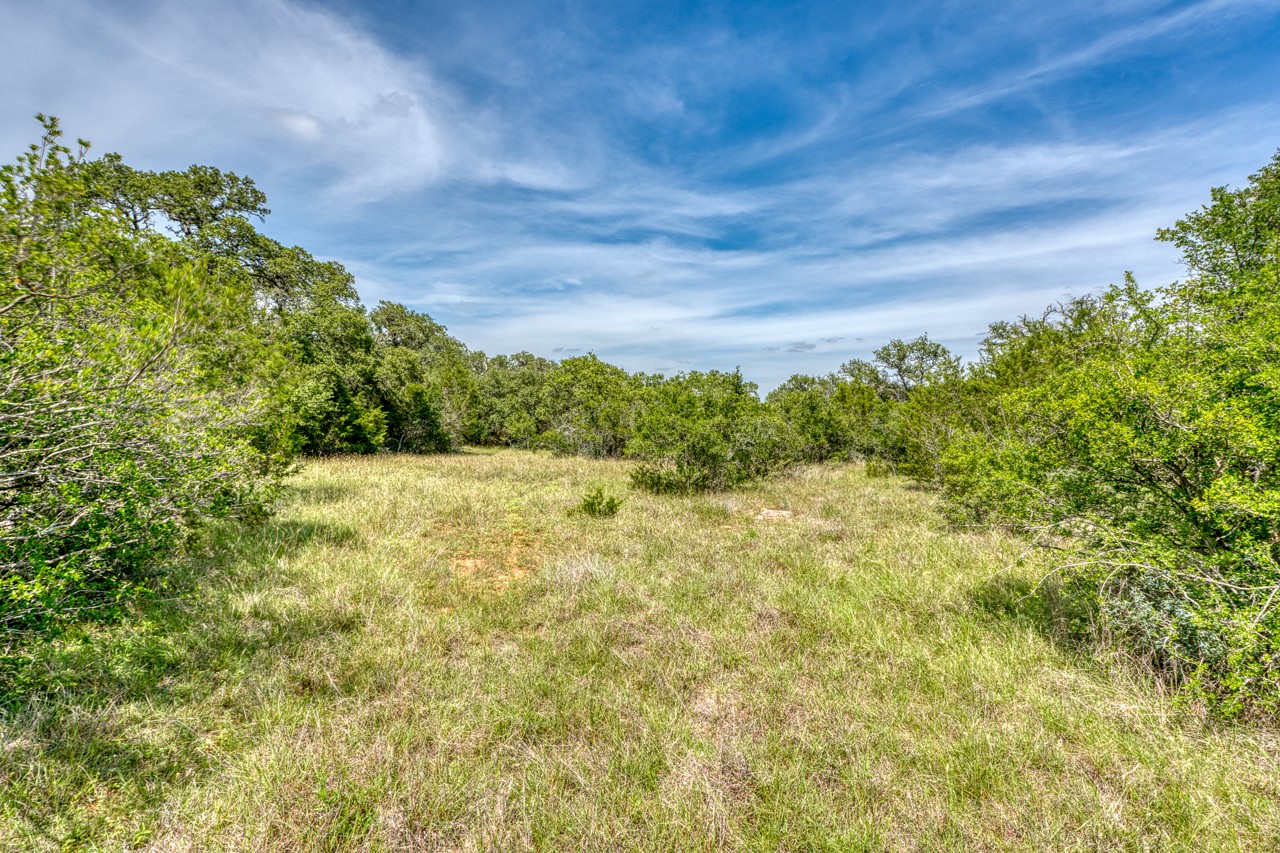 Tbd Althaus Ranch Road Johnson City, TX 78636 - Photo 35 of 36 a view of a yard with plants and large trees