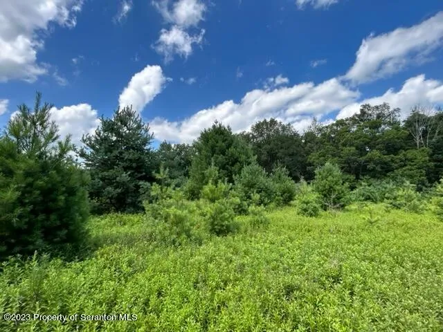a view of a tree in a field of a building
