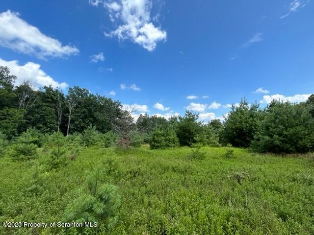 0 Long Ridge Road Hawley, PA 18428 - Photo 12 of 14 a view of a big yard with large trees