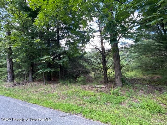 0 Long Ridge Road Hawley, PA 18428 - Photo 3 of 14 a view of outdoor space and green space