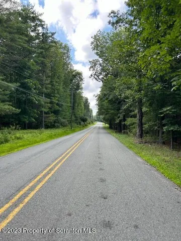 a view of a field with a trees in the background