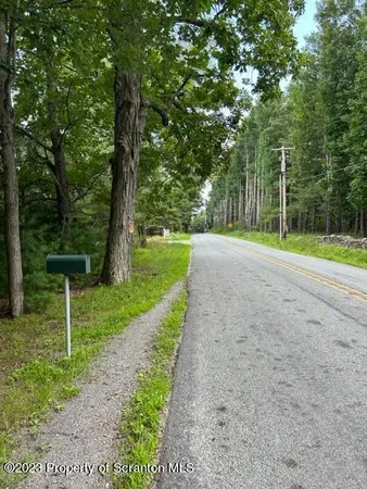 a view of a park with large trees
