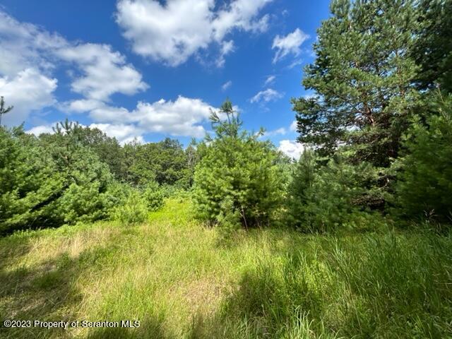 0 Long Ridge Road Hawley, PA 18428 - Photo 6 of 14 a view of a yard