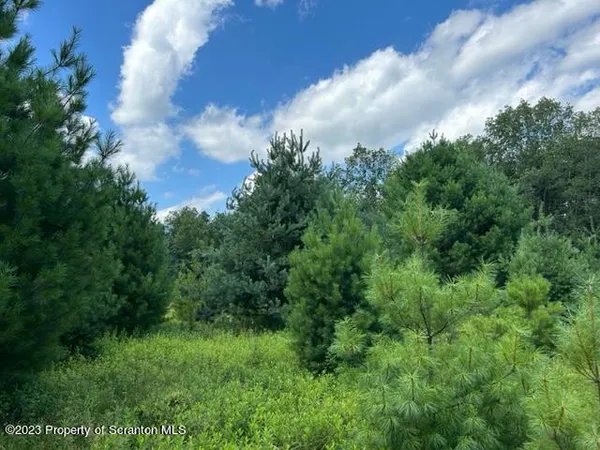 a view of a big yard with lots of green space