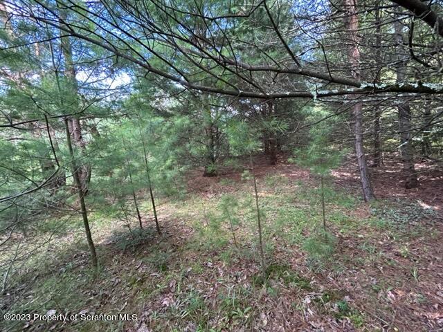 0 Long Ridge Road Hawley, PA 18428 - Photo 10 of 14 a view of forest
