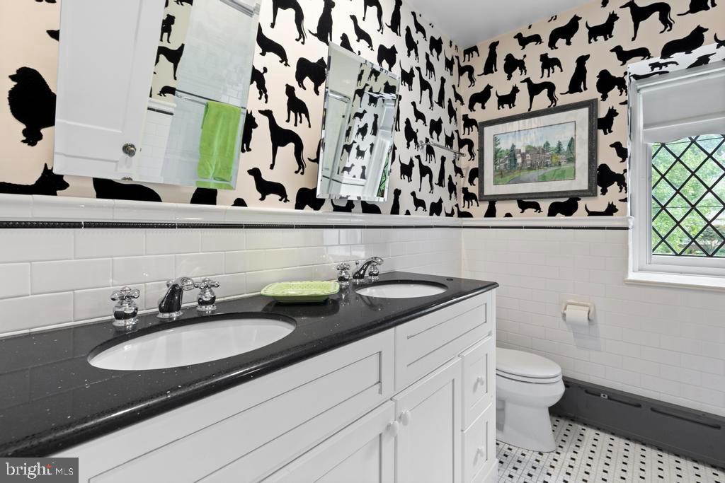 1038 Mill Rd Circle Rydal, PA 19046 - Photo 42 of 61 a bathroom with a granite countertop sink and a toilet