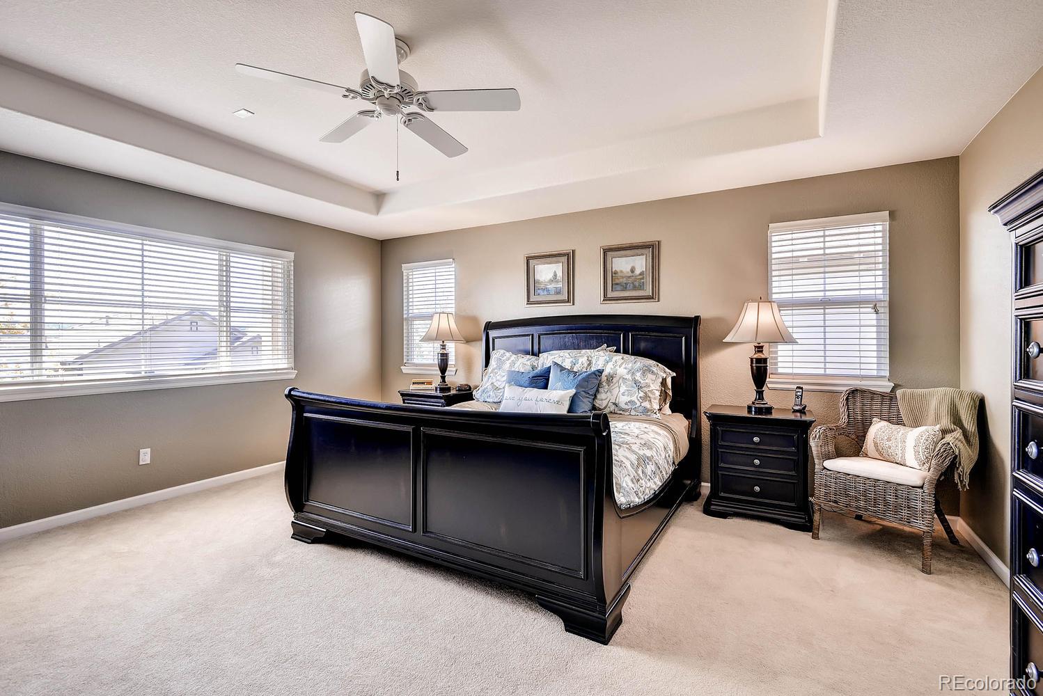 10596 Wynspire Way Highlands Ranch, CO 80130 - Photo 17 of 28