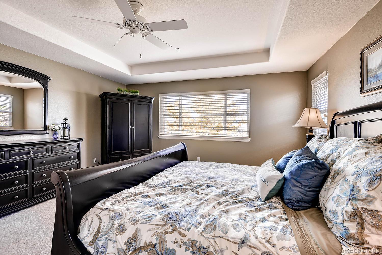 10596 Wynspire Way Highlands Ranch, CO 80130 - Photo 19 of 28