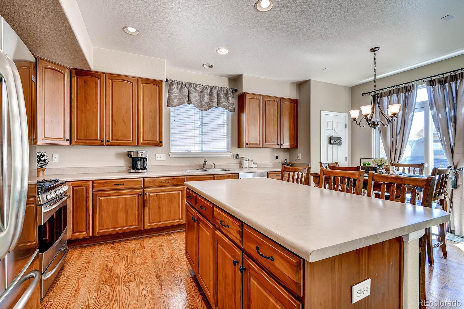 10596 Wynspire Way Highlands Ranch, CO 80130 - Photo 9 of 28