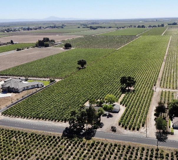 19025 Devries Road Lodi, CA 95242 - Photo 18 of 41