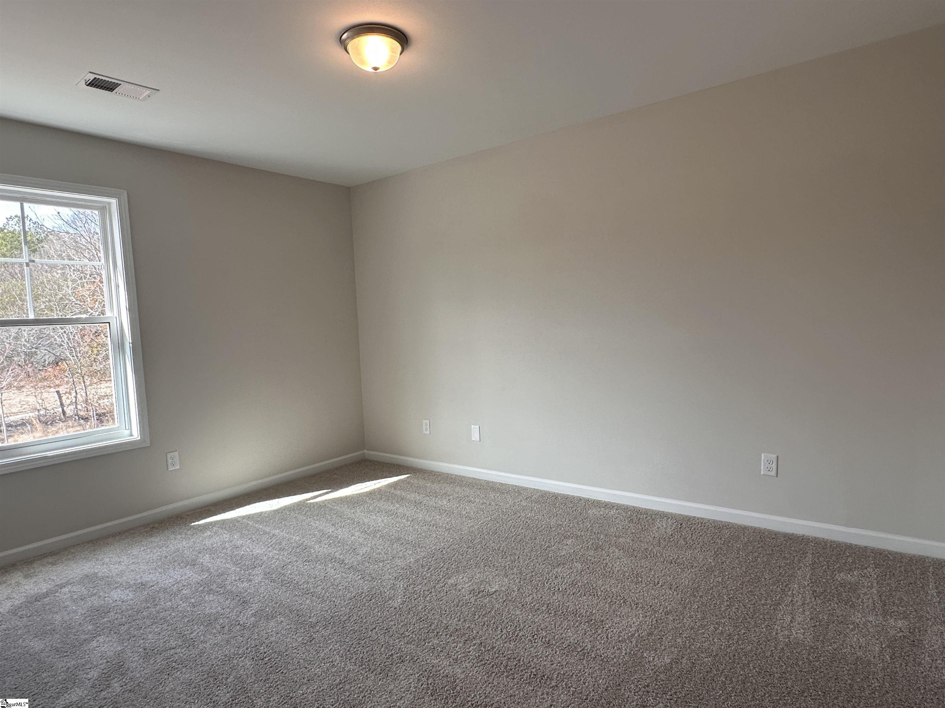 3025 Olivette Place Duncan, SC 29334 - Photo 15 of 19