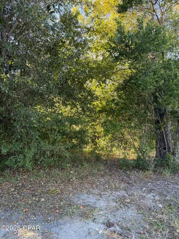 $17,000 | 3585 Highway 69, Greenwood, FL 32443