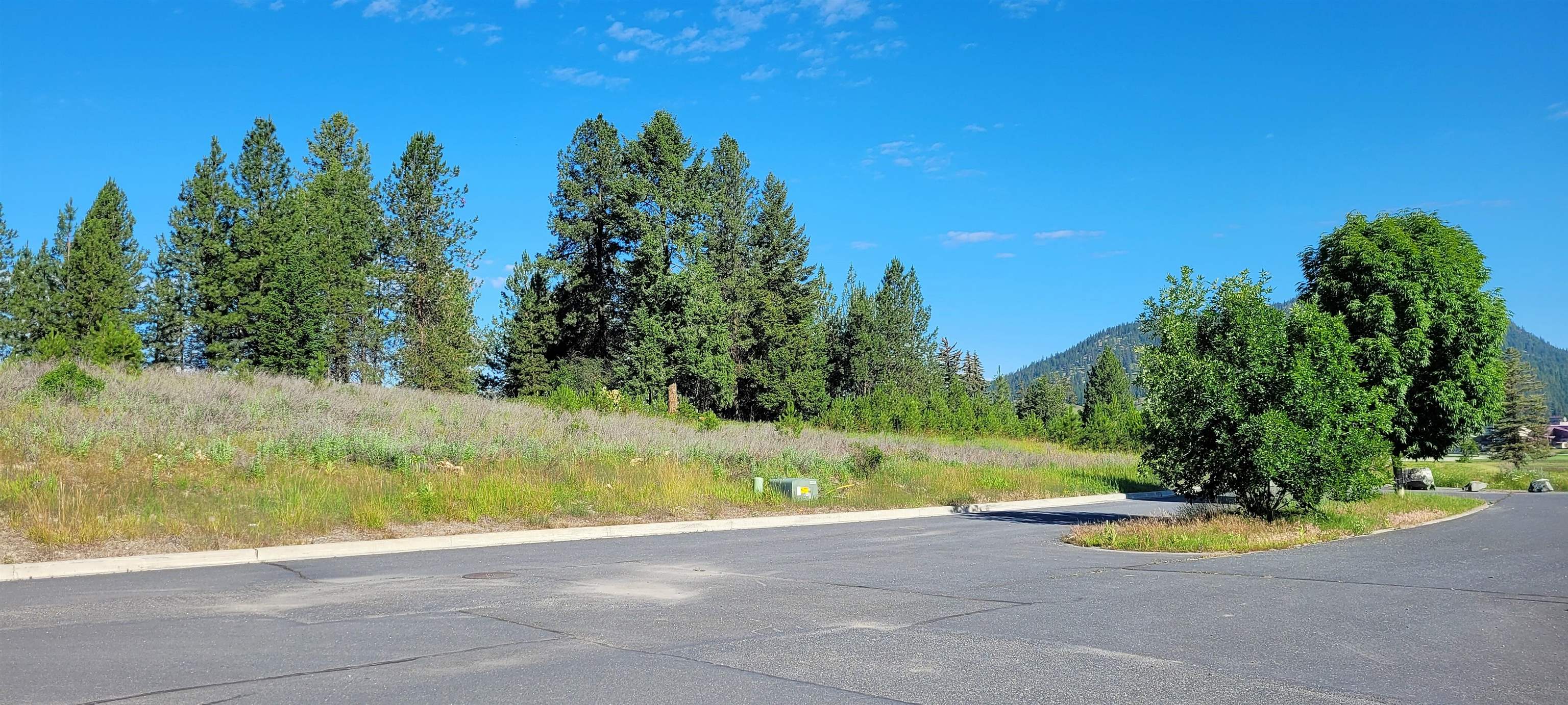 700 Evergreen Way Colville, WA 99114 - Photo 2 of 6