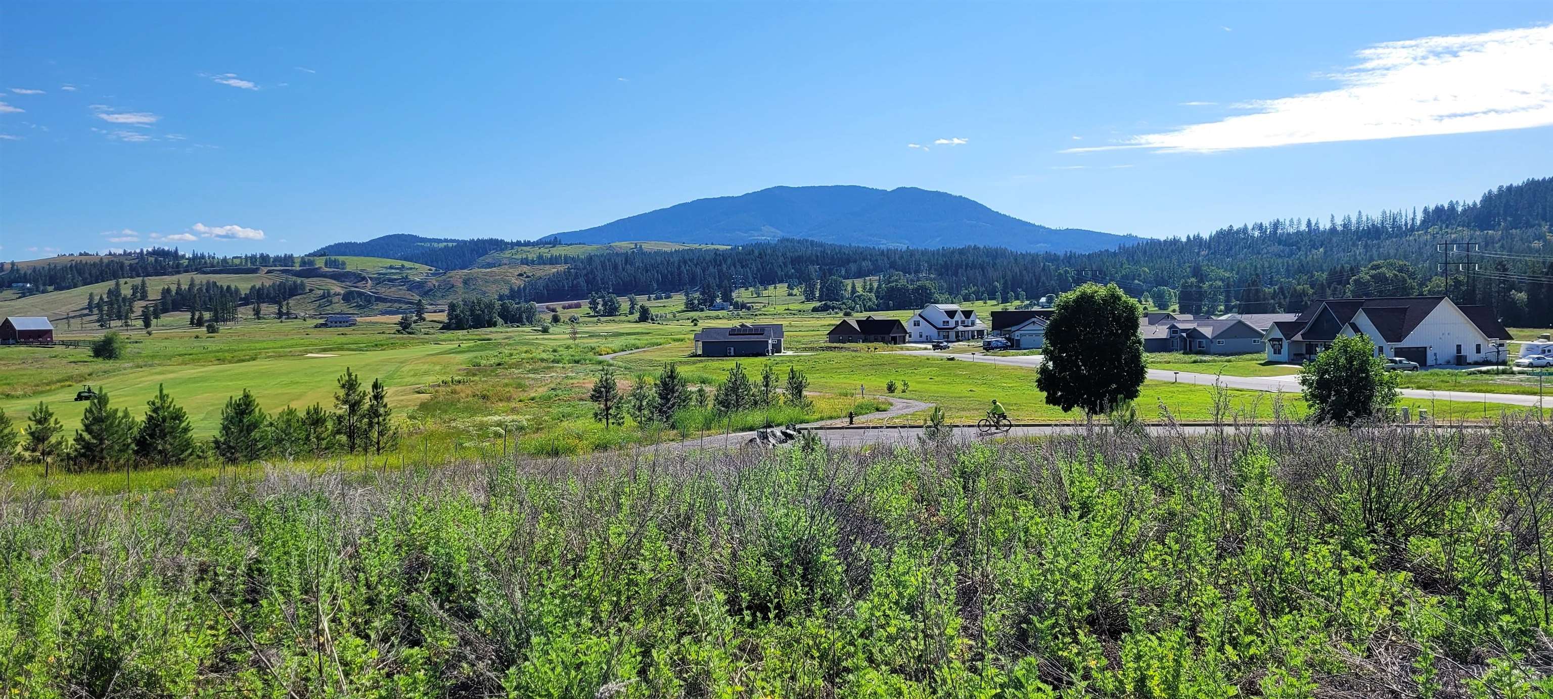 700 Evergreen Way Colville, WA 99114 - Photo 3 of 6