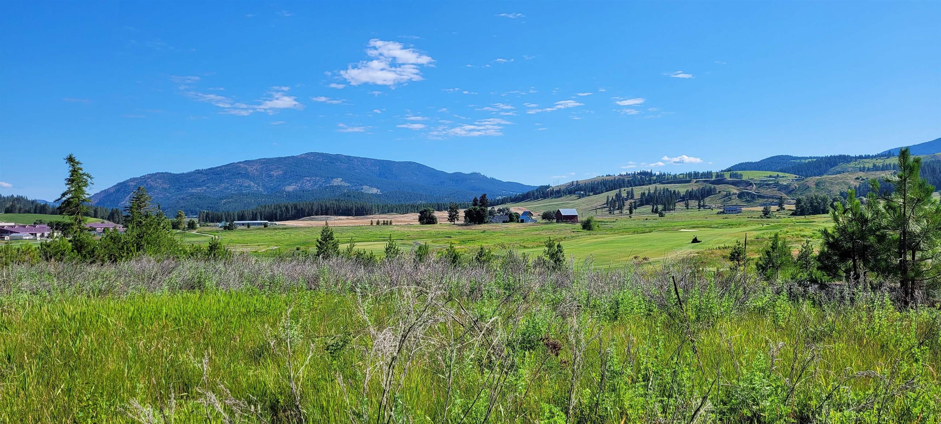 700 Evergreen Way Colville, WA 99114 - Photo 5 of 6