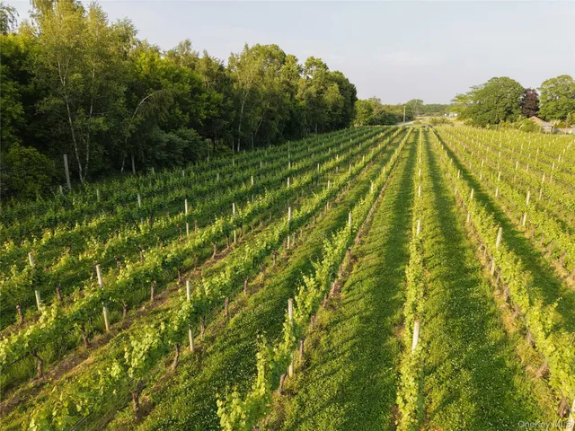 a view of an outdoor space and a lake view