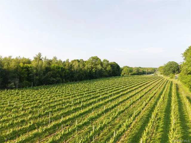 a view of a green field