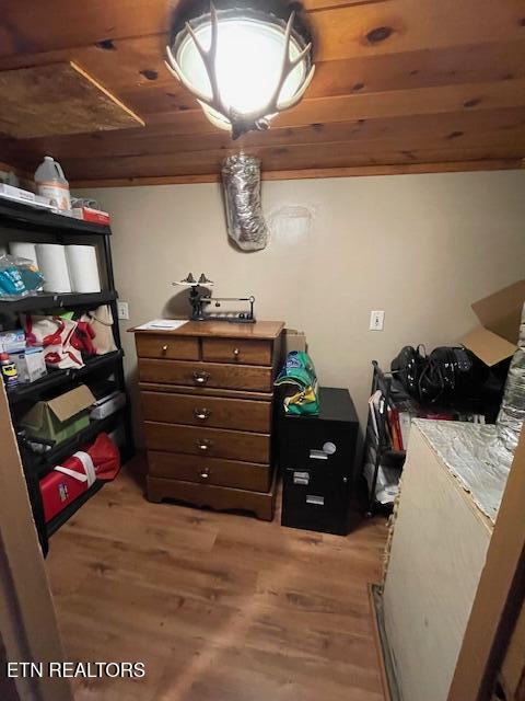 411 Rafter Road Tellico Plains, TN 37385 - Photo 20 of 34 Walk in Storage Pantry