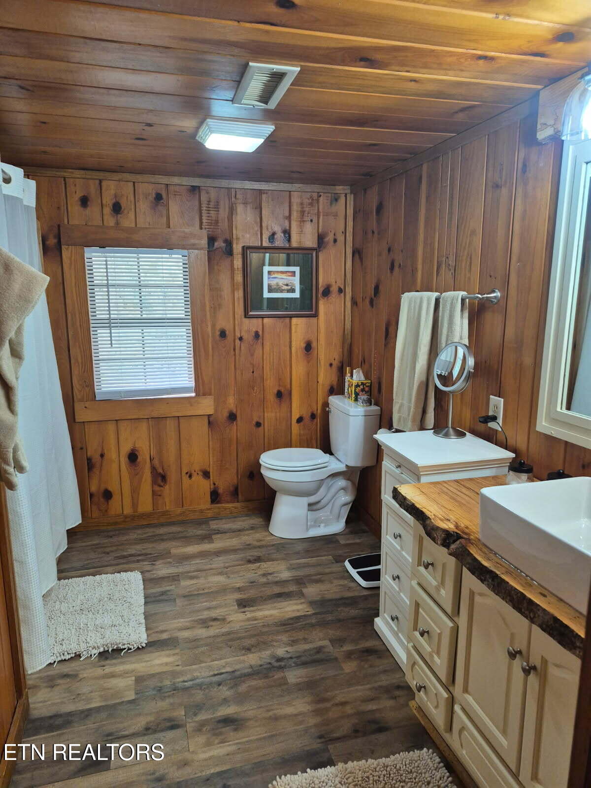 411 Rafter Road Tellico Plains, TN 37385 - Photo 22 of 34 Remodeled Full Bath on Main