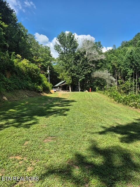 411 Rafter Road Tellico Plains, TN 37385 - Photo 28 of 34 View From Workshop