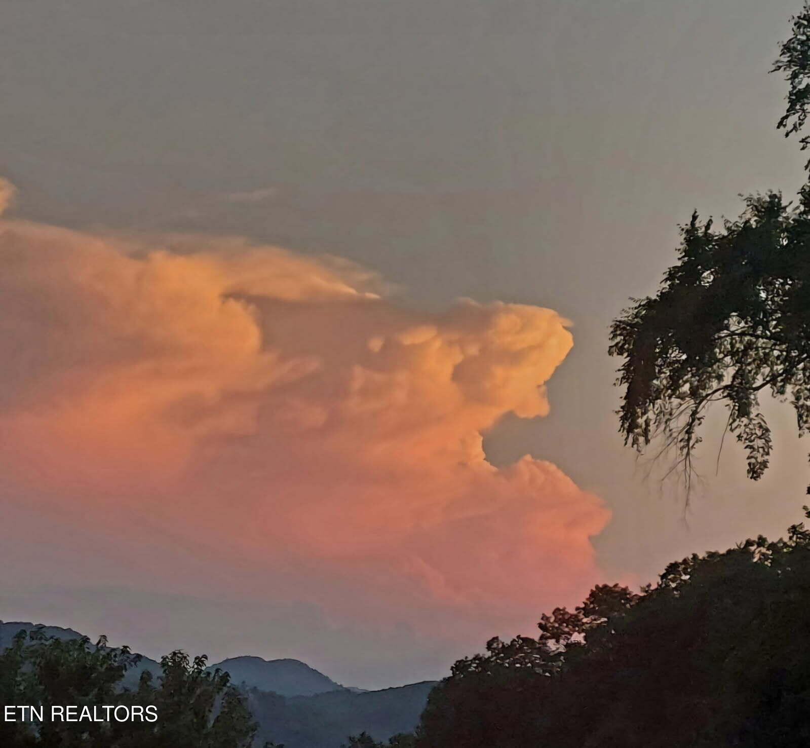 411 Rafter Road Tellico Plains, TN 37385 - Photo 33 of 34 image000001 (5)