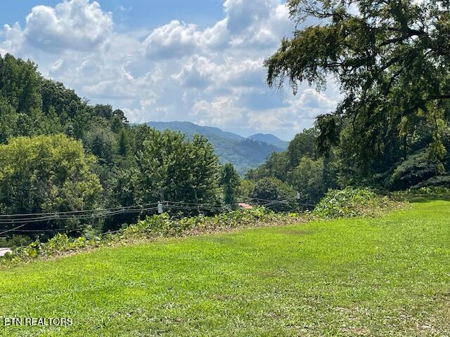 411 Rafter Road Tellico Plains, TN 37385 - Photo 6 of 34 Mtn View