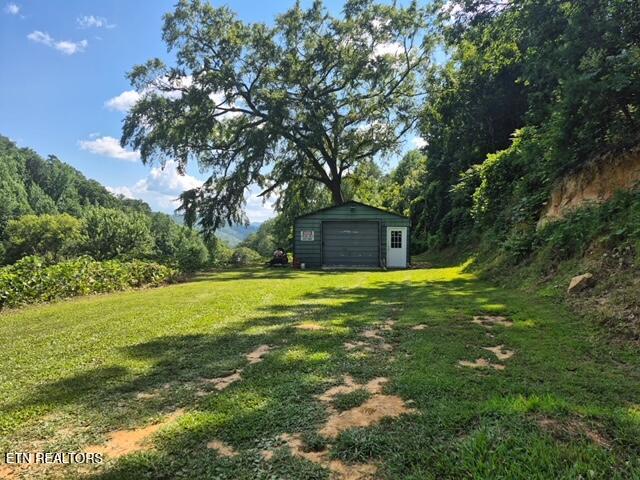 411 Rafter Road Tellico Plains, TN 37385 - Photo 7 of 34 Workshop