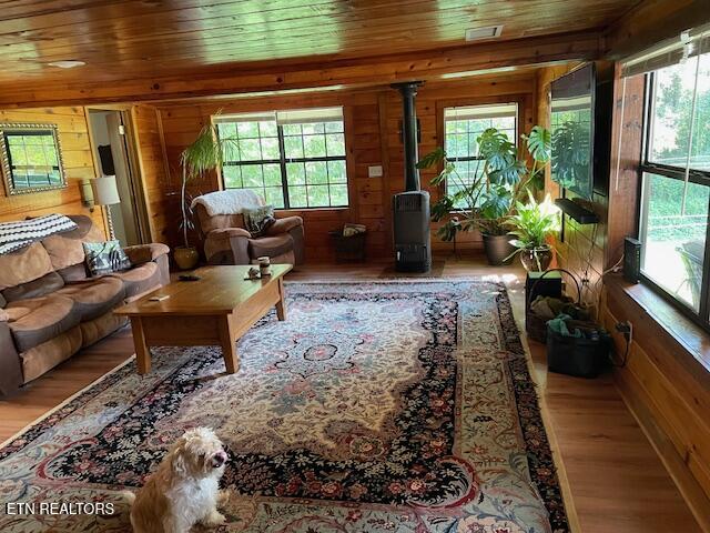 411 Rafter Road Tellico Plains, TN 37385 - Photo 9 of 34 Living room