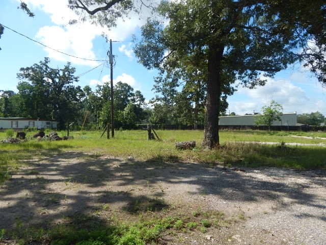 11636 Browder Traylor Road Conroe, TX 77303 - Photo 10 of 13