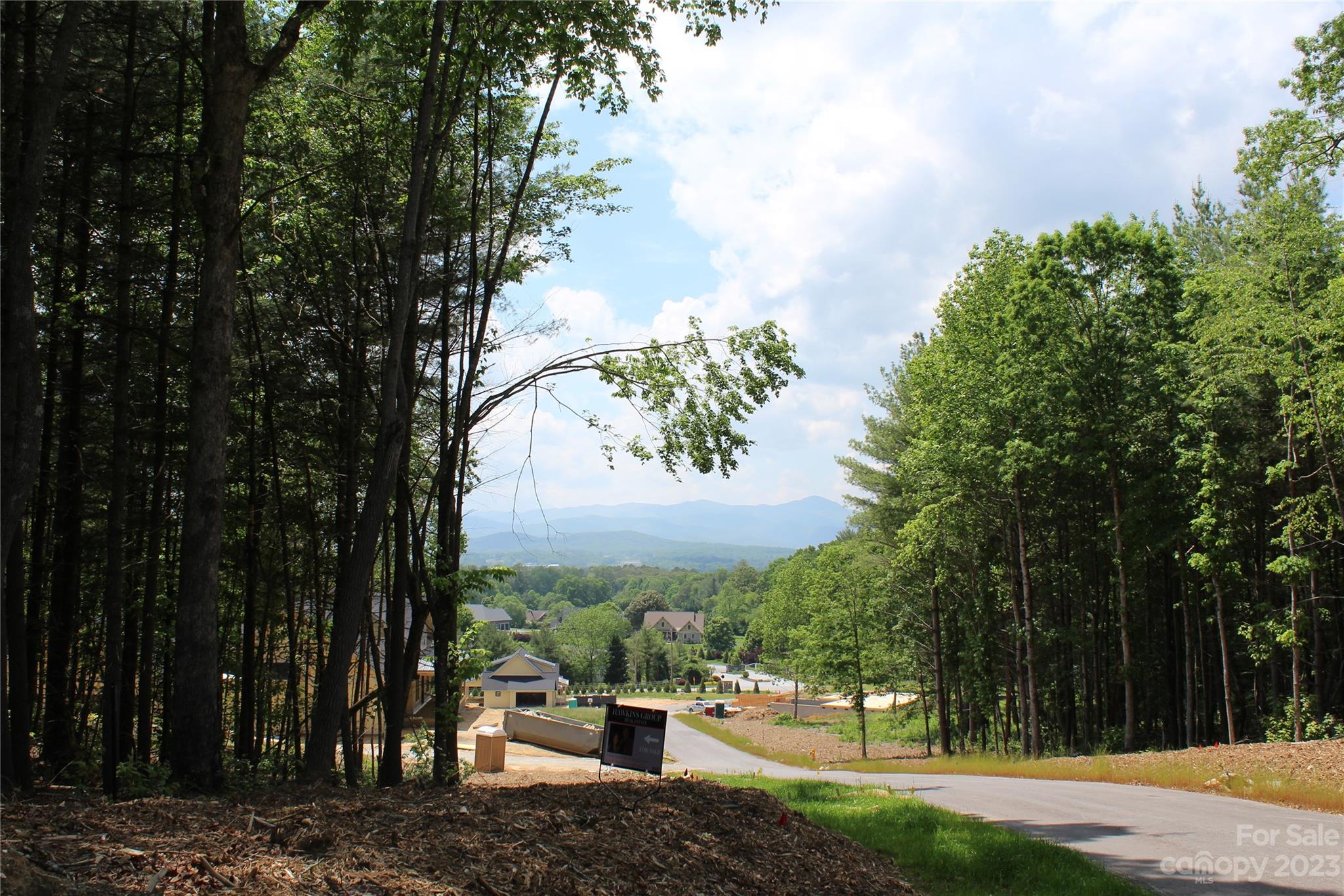 4 Northview Drive Hendersonville, NC 28791 - Photo 11 of 11 a view of a park with large trees