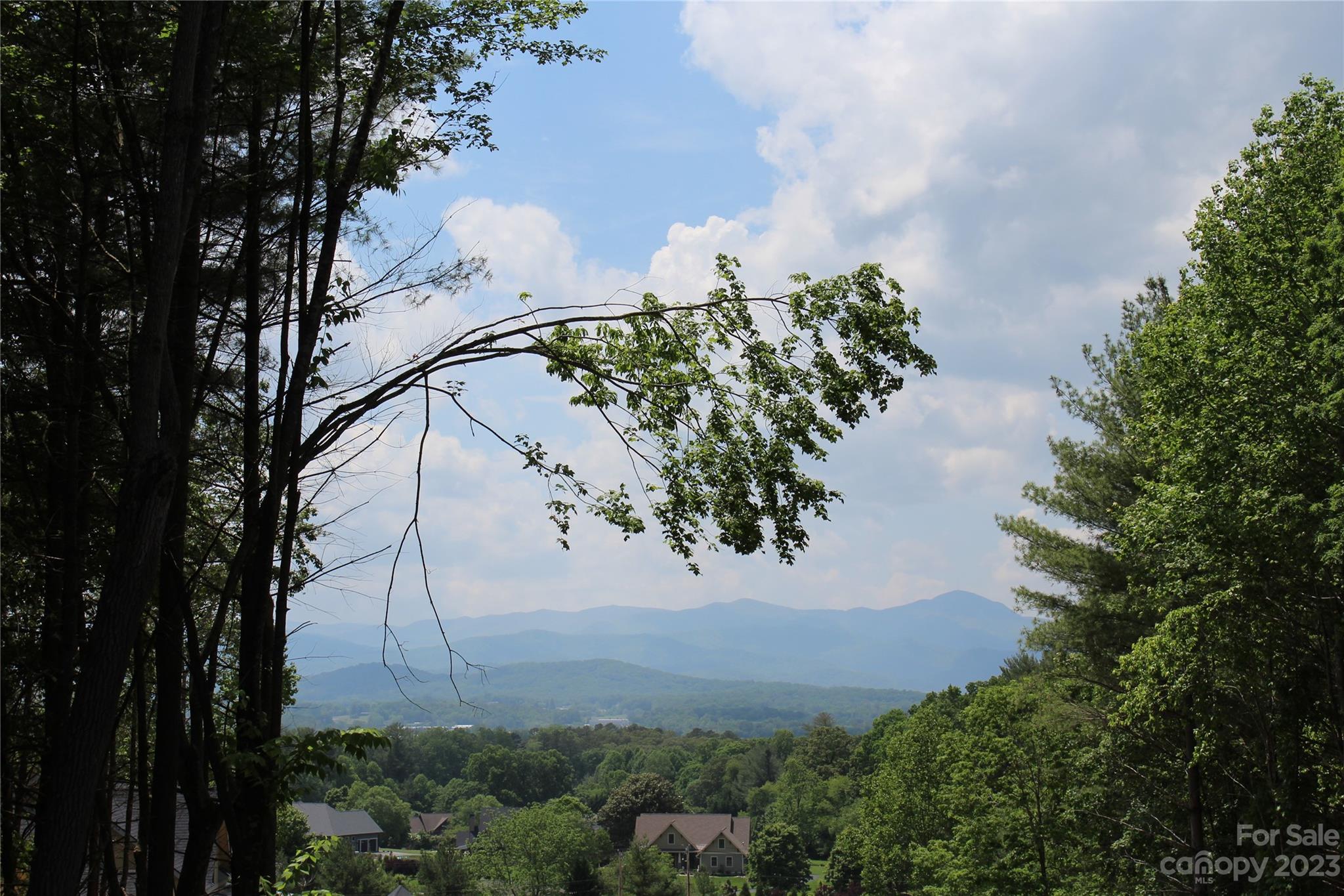 4 Northview Drive Hendersonville, NC 28791 - Photo 2 of 11 a view of a tree in a yard