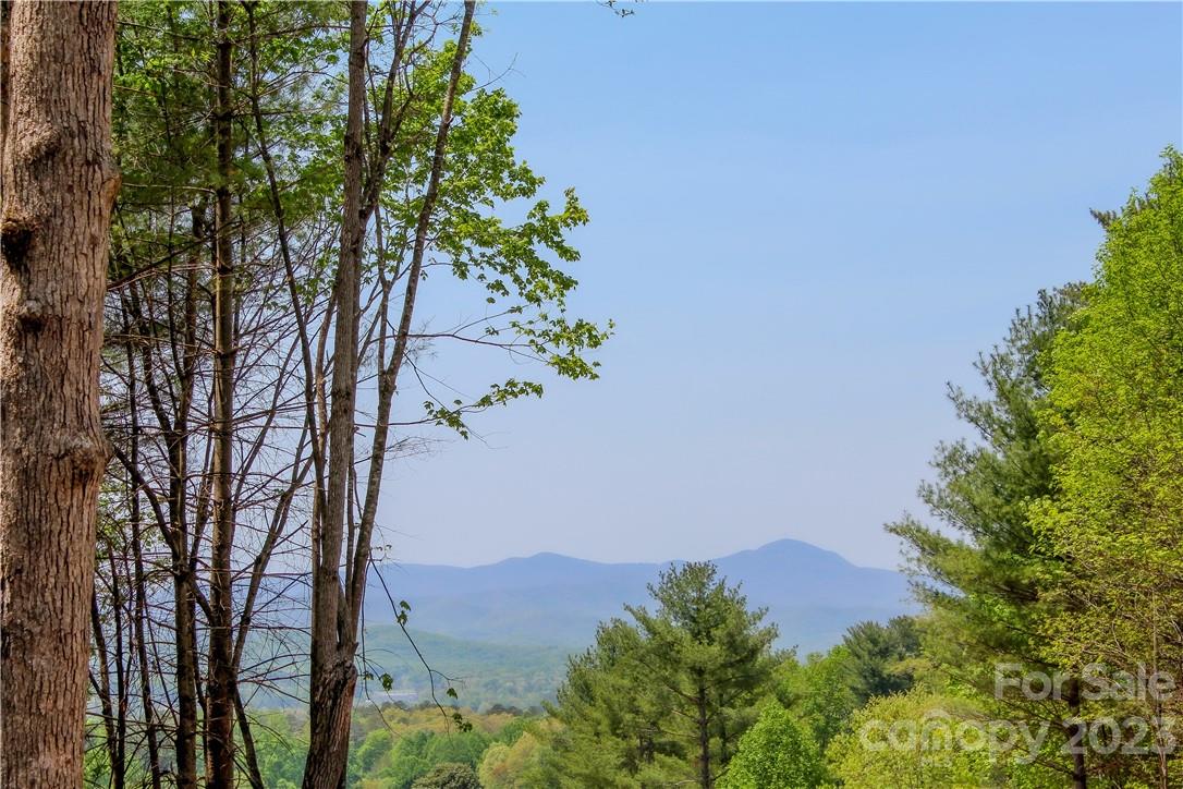 4 Northview Drive Hendersonville, NC 28791 - Photo 5 of 11 an aerial view of a house with a yard