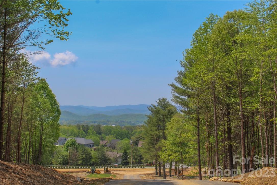4 Northview Drive Hendersonville, NC 28791 - Photo 6 of 11 a view of a yard with a tree