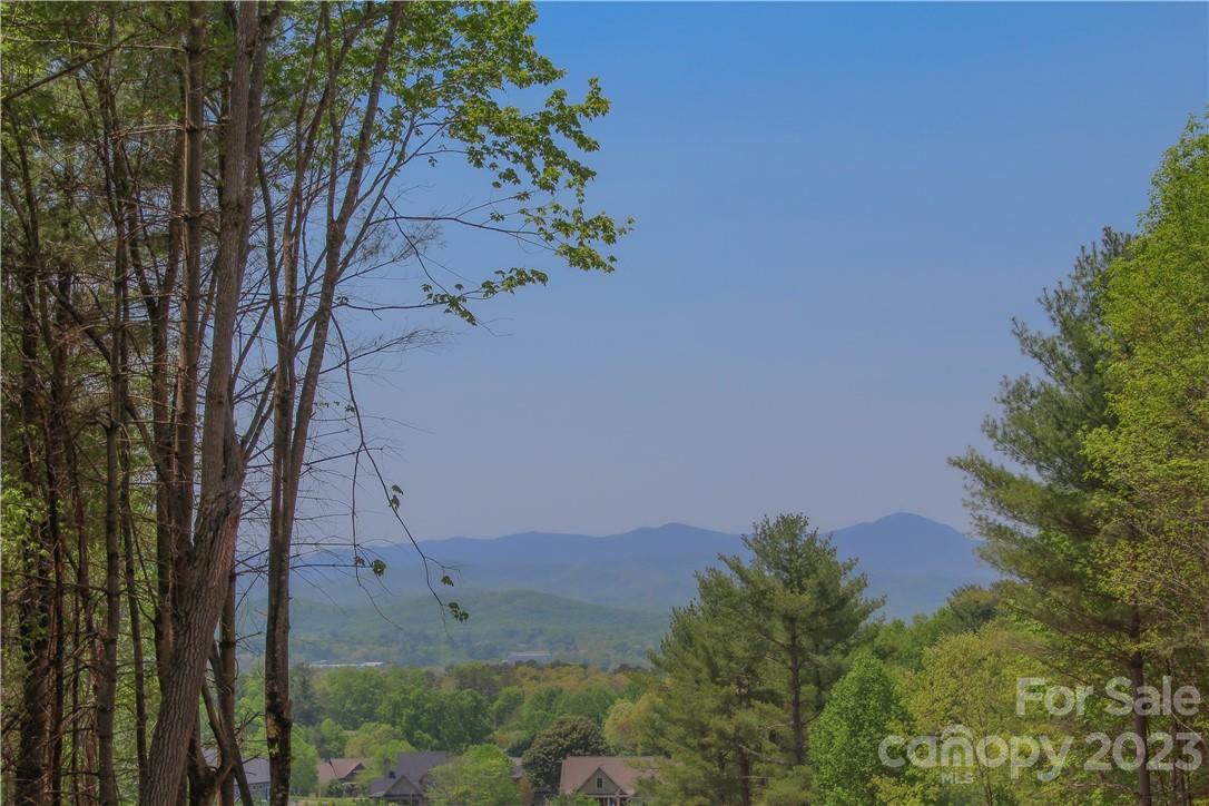 4 Northview Drive Hendersonville, NC 28791 - Photo 7 of 11 an aerial view of a house with a yard