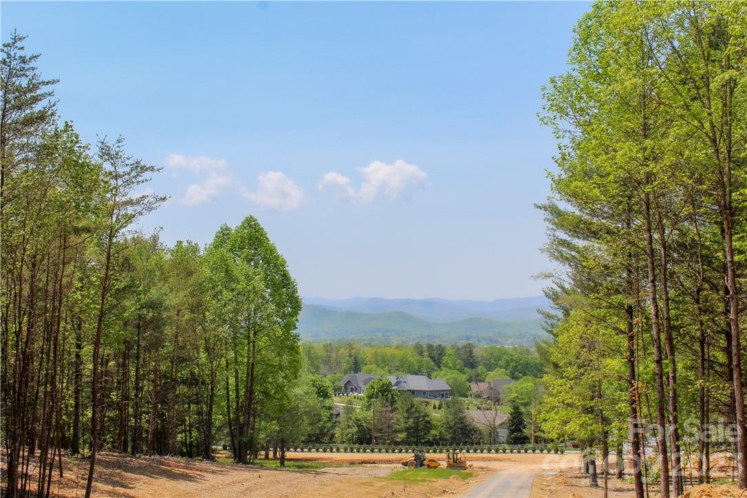 4 Northview Drive Hendersonville, NC 28791 - Photo 8 of 11 a view of a city view