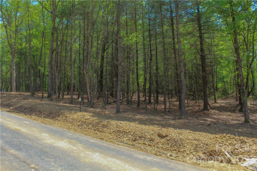 4 Northview Drive Hendersonville, NC 28791 - Photo 9 of 11 a view of a backyard of a house