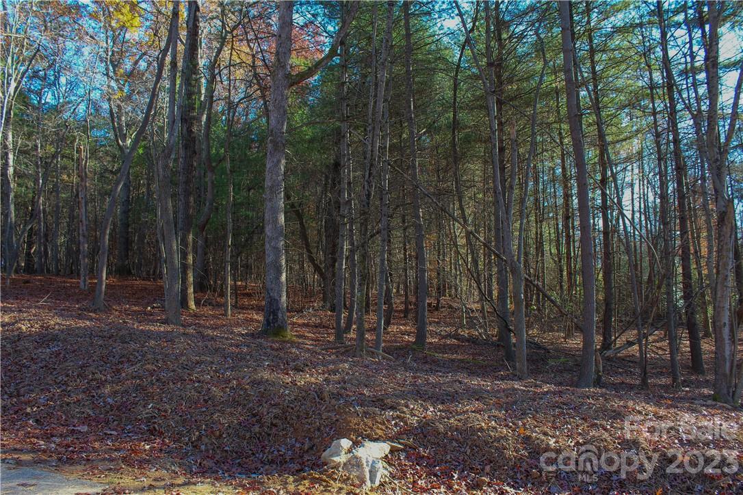 4 Northview Drive Hendersonville, NC 28791 - Photo 10 of 11 a view of outdoor space with lots of trees
