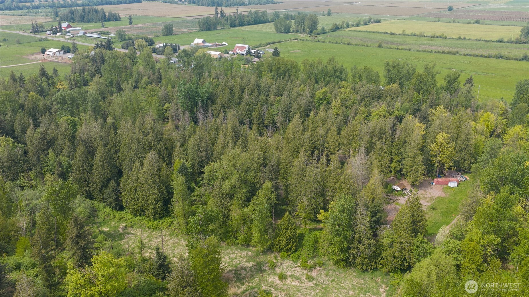 2165 East Badger Road Everson, WA 98247 - Photo 3 of 20