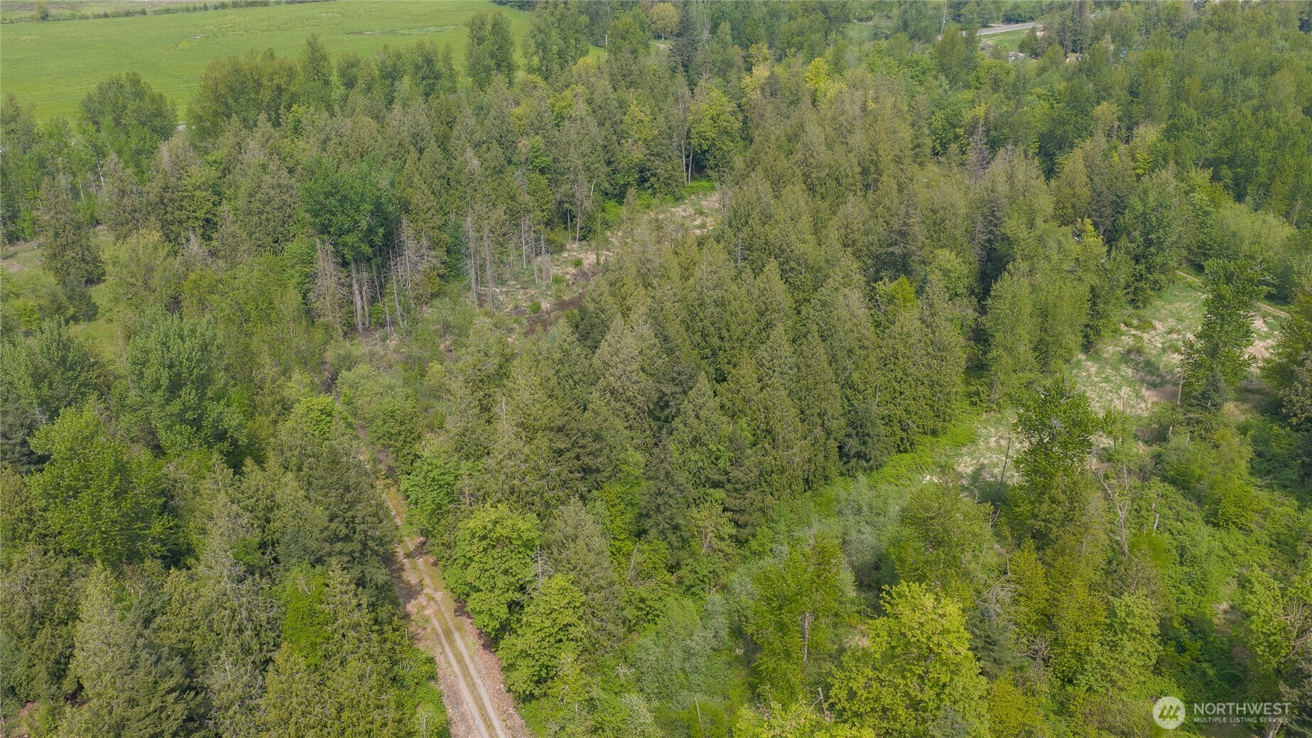 2165 East Badger Road Everson, WA 98247 - Photo 6 of 20