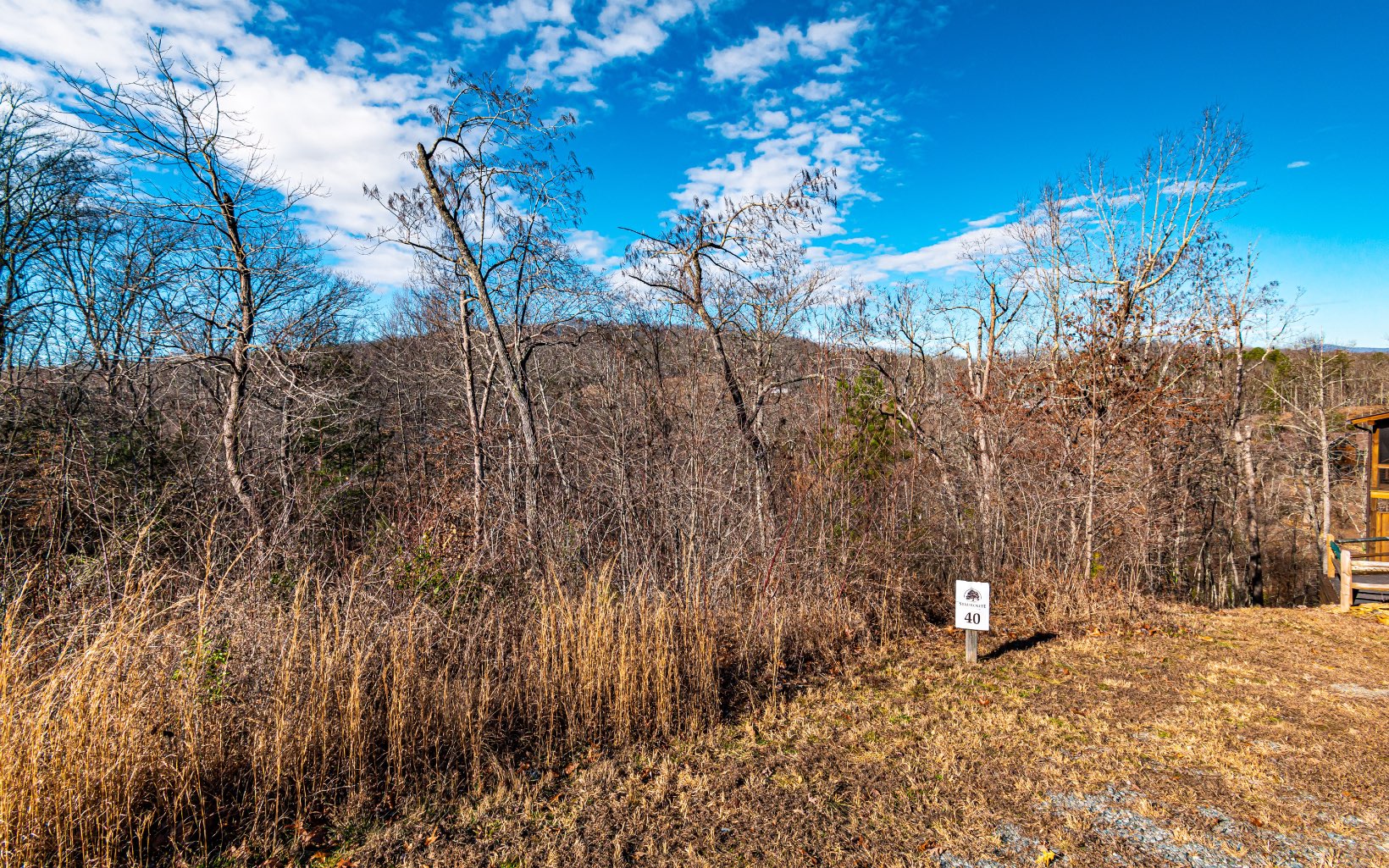 1.69 A Amber Ridge Road Blue Ridge, GA 30513 - Photo 1 of 59 Main View