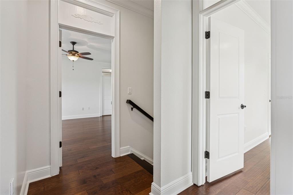 11606 Lipsey Road Tampa, FL 33618 - Photo 45 of 100