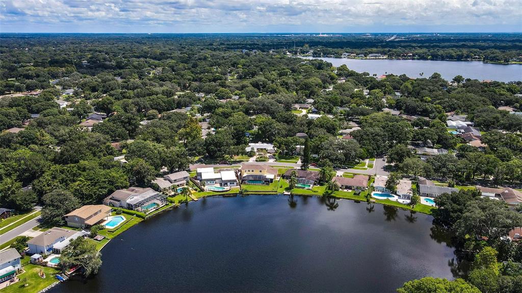 11606 Lipsey Road Tampa, FL 33618 - Photo 80 of 100