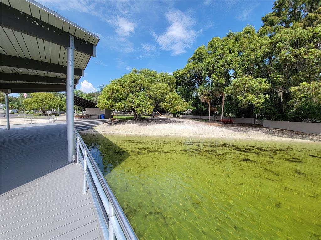 11606 Lipsey Road Tampa, FL 33618 - Photo 87 of 100 a view of a backyard of the house
