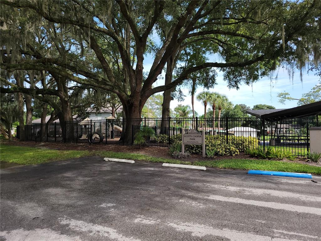 11606 Lipsey Road Tampa, FL 33618 - Photo 91 of 100