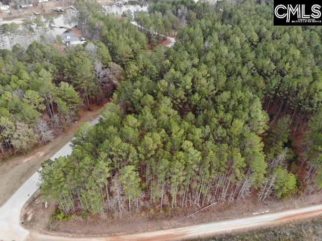 Lot 104 Pineland Road Chappells, SC 29037 - Photo 24 of 25