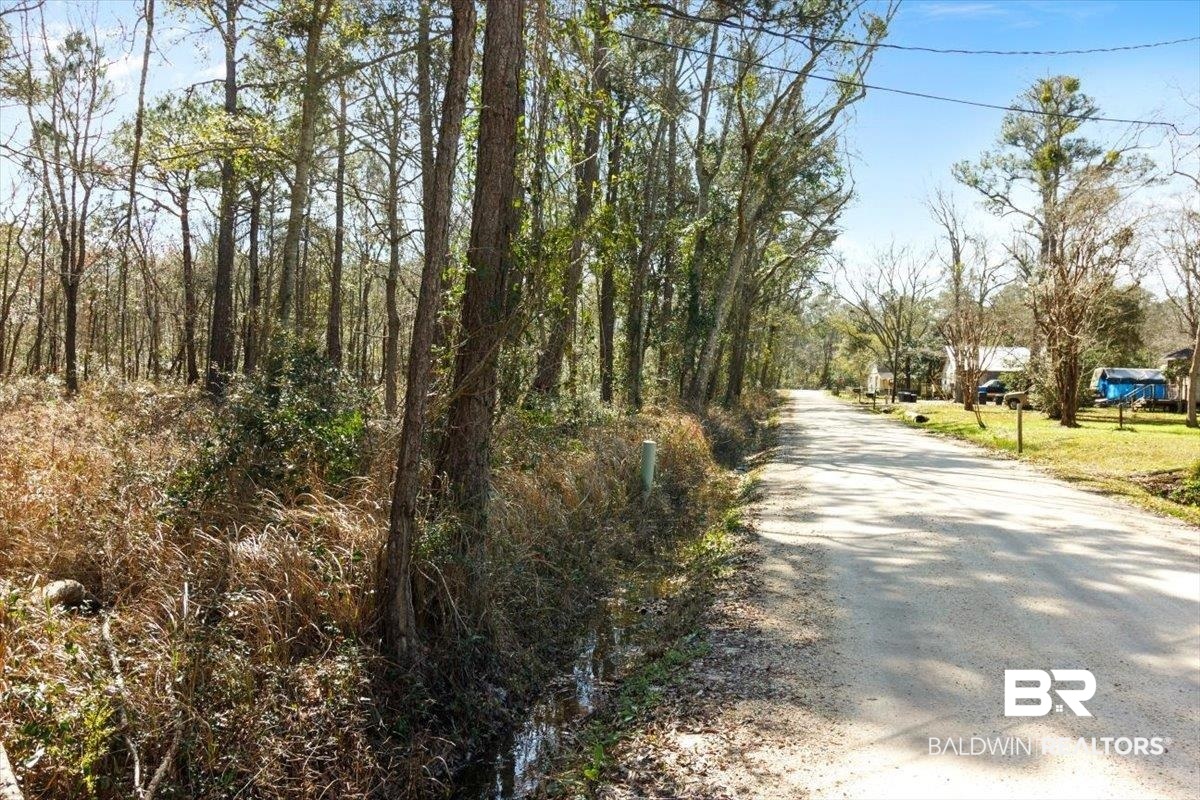 16045 Williams Street Coden, AL 36523 - Photo 6 of 15 View of street