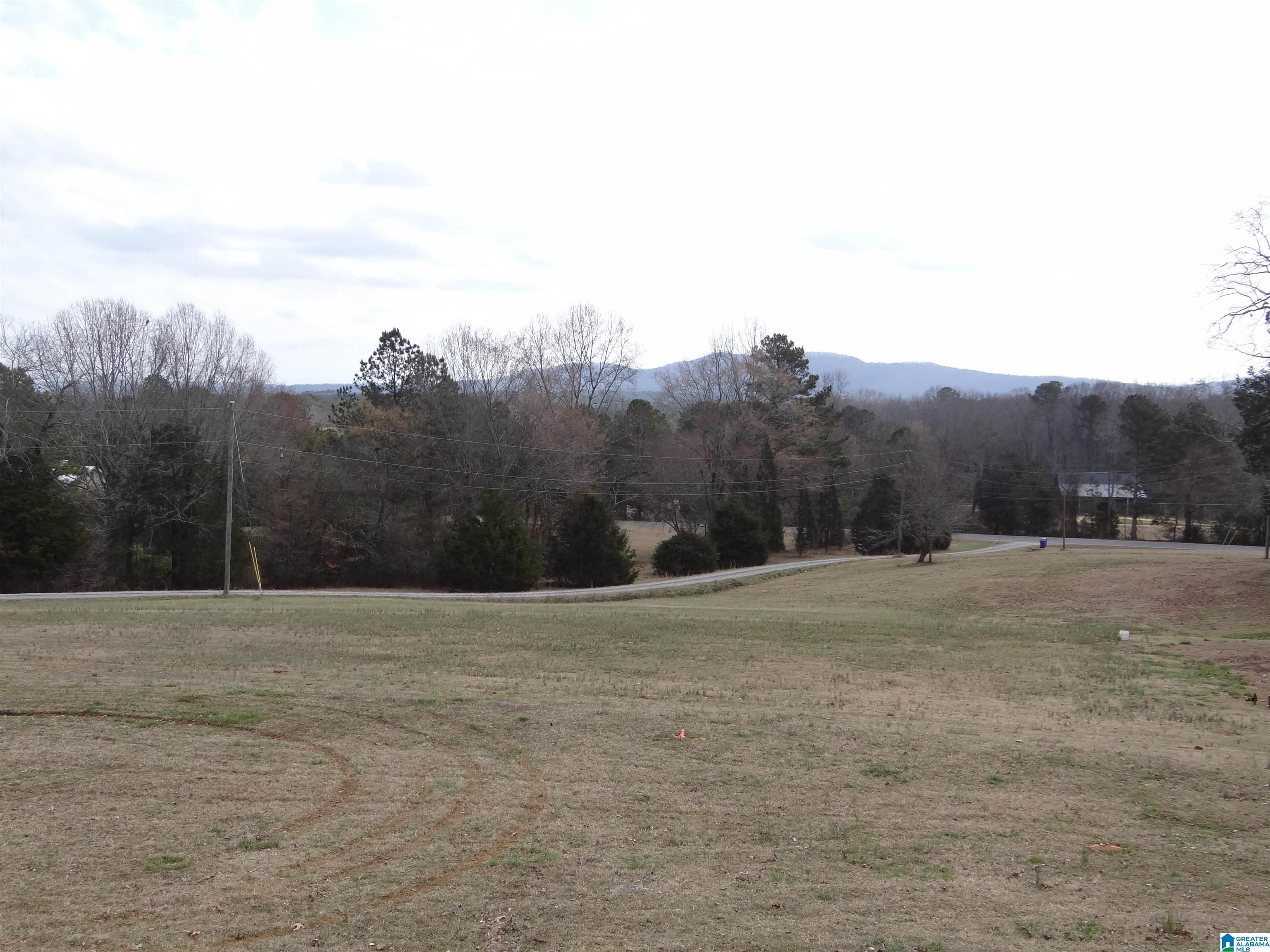 10861 Highway 11 Springville, AL 35146 - Photo 9 of 38 Gallery Image 9